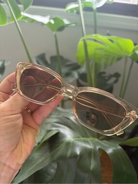 Z Supply Sunglasses